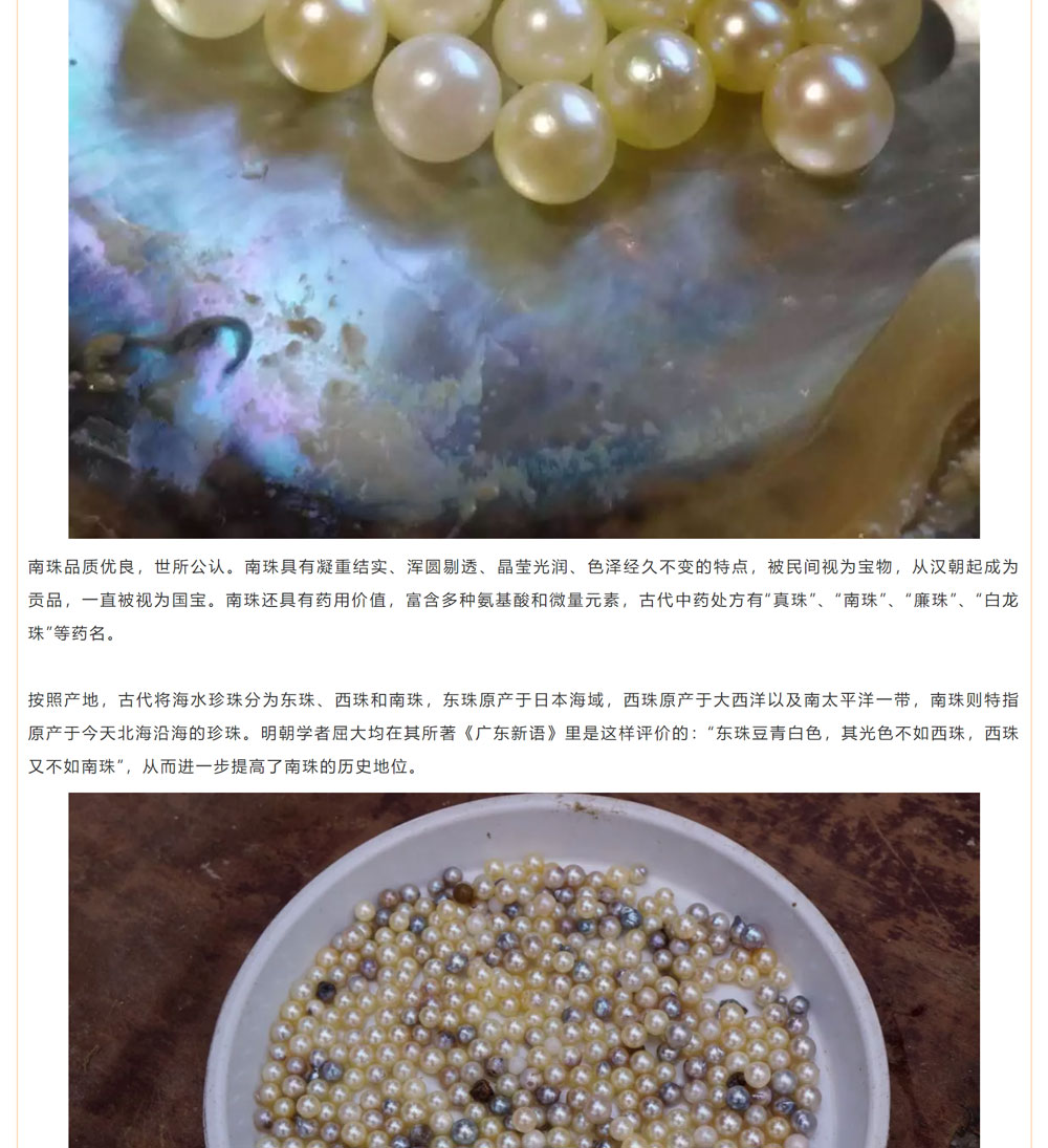 古老南珠，綻放異彩